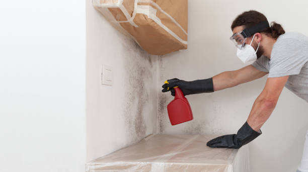 Professional Attic Mold Remediation technician working in Aurora, TX