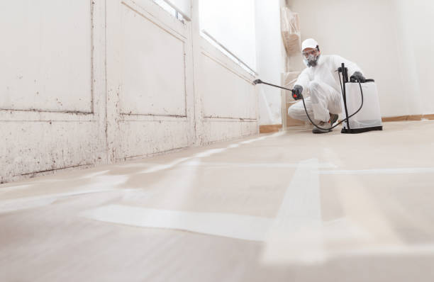 24/7 Emergency Attic Mold Remediation experts in Aurora, TX